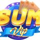 sumvipx