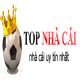 nhacaiuy1