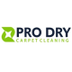 Prodry Carpet