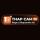thapcamtvio