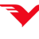 visionindiag01