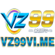 VZ99 Vi