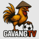 gavangtvv ad