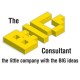 bigconsultant