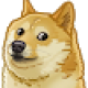 FancyDoge