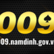 009namdinhgovvn