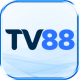 TV88 run