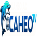 Caheo TV