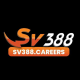 sv388carers