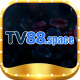 tv88spacee