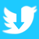 Twitter Video