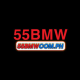 c55bmwcomph1