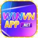 winvnappnet