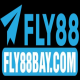 Fly88baycom1