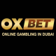 Oxbet studio