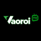 vaoroitvznet1