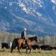 rancher Mike