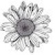 anthers