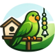 birdpetbeginner