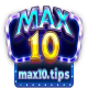 max10 tips