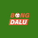 bongdaluliberalmediu