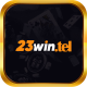 23wintel