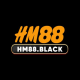 hm88black1