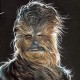 thewookieway