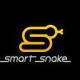 smartsnake