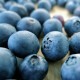 Blueberrypie