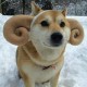 Avatar of ddio-miso