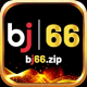 bj66zip1