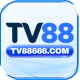 tv88666co