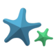 starfishcoaching