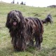 Avatar of keatsk