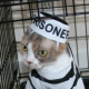 Prison Hipster