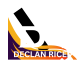 declanricenet