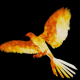 Phoeniix