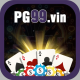 pgvin99