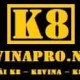 k8vina pro