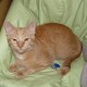 CathyWebSavvyPR