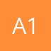 A1