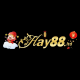 hay88ltd1