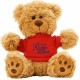 Custom Teddy