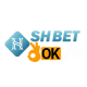 shbetokvipcom