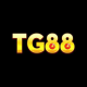 tg88zwzcnn