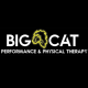 bigcatperforman