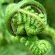 Zeratul