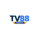 tv88group