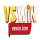 VSWIN